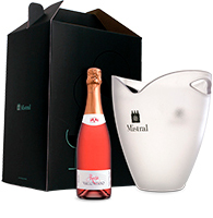 Kit Espumante Ros&eacute; Brut e balde de gelo
